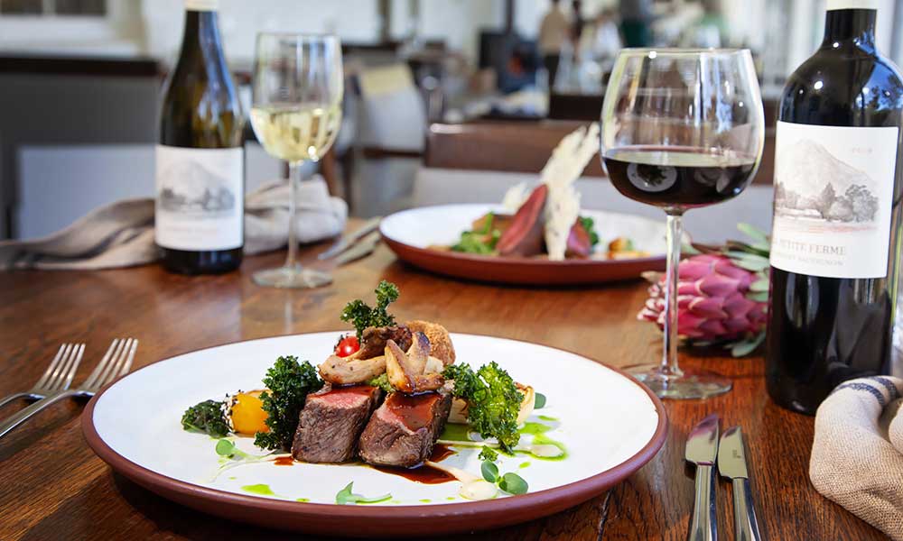 Discover Our Exquisite Wine Collection for Every Palate